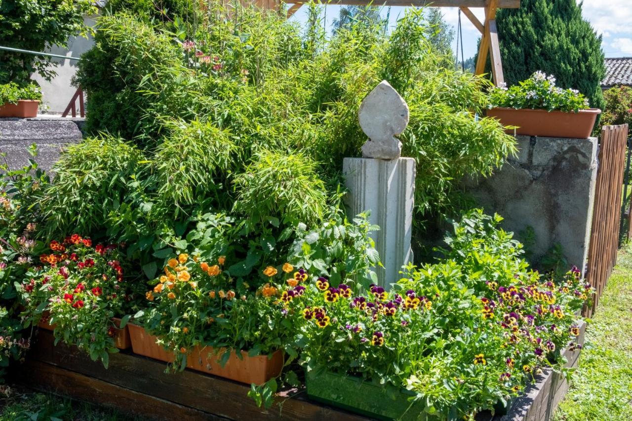 Agroturystyka Ranczo 라트코프 외부 사진